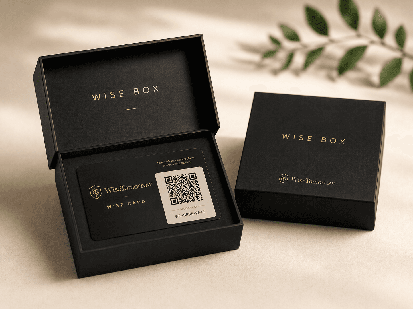 Wise Box and Wise Card
